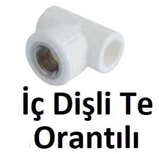 Orantılı İç Dişli Teler